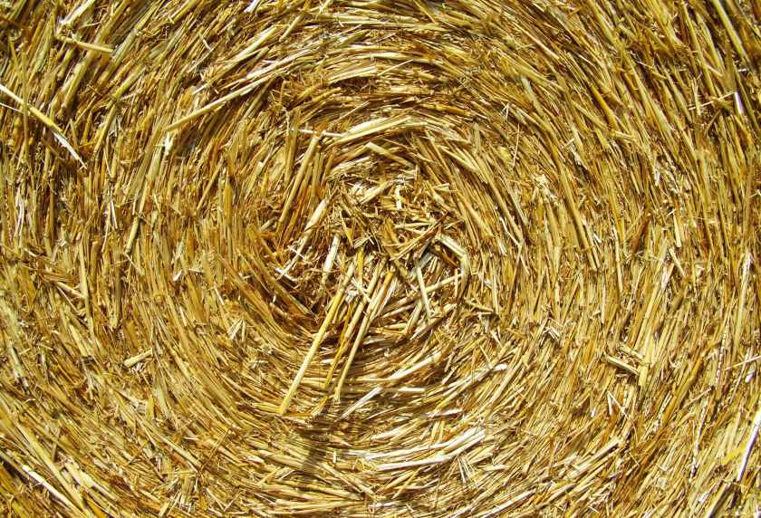 brown rolled hay
